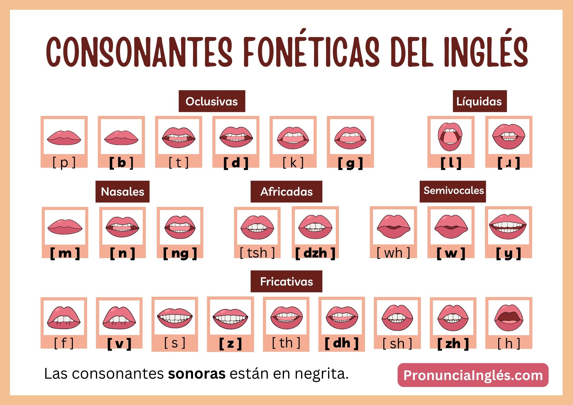 Fonemas Consonantes del Inglés Estándar Estadounidense Cosonantes Fonéticas del Inglés - PronunciaInglés.com