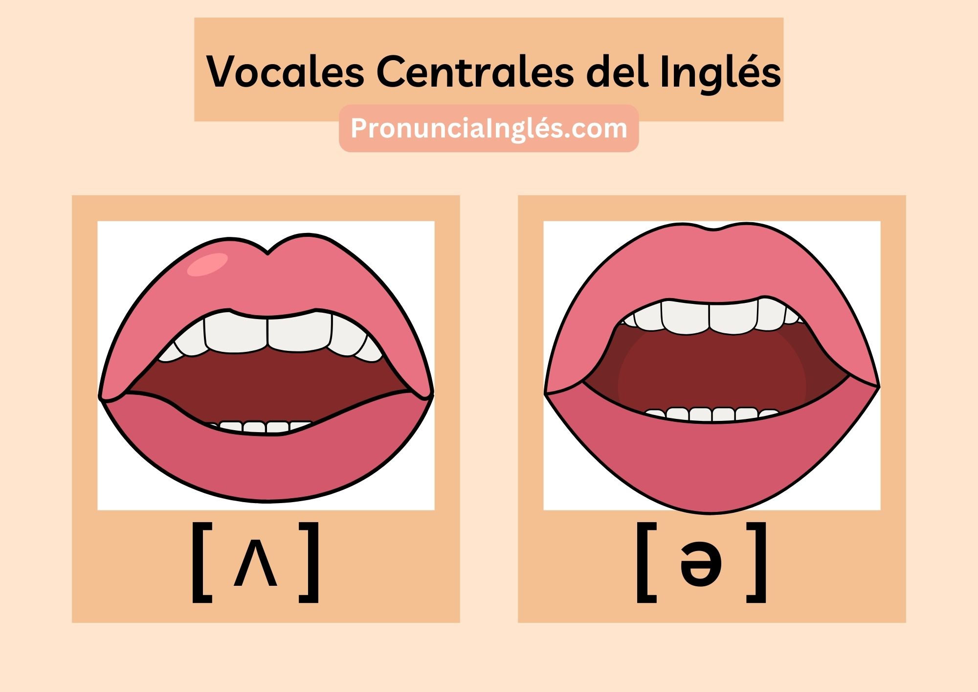 Vocales Centrales del Inglés Vocales Centrales del Idioma Inglés