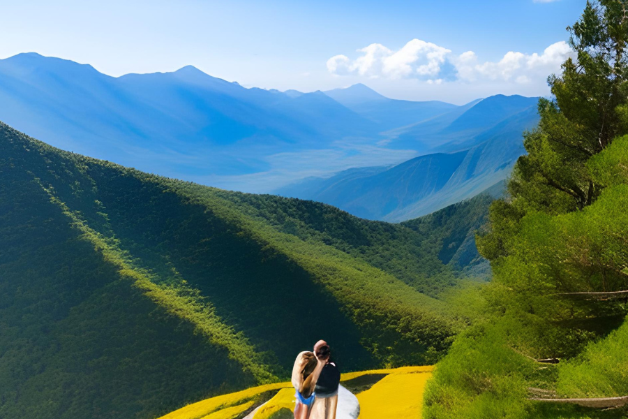"The curious tourists viewed the beautiful mountain view from the viewpoint." "The curious tourists viewed the beautiful mountain view from the viewpoint."